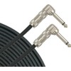 Pro Co EGLL-1 Excellines Instrument Cable - 1 FootAngle-Angle