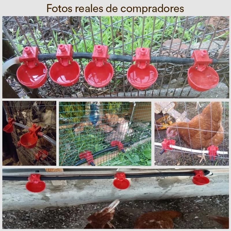 Mebix TRD 10pz Bebedero para Aves, Pollo, Gallina, Codorniz, Gallo,