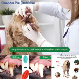 ALLTHING VB 2 Pack Interactive DogToys Hidden Food Puzzle Ball Encourage Natural Foraging Skills,Slow Food Training to Relieve Boredom and Stimulating (Red/Green Small)