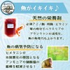 Satoyama Medaka 5 Himetanishi & High Concentration PSB (Photosynthetic Bacteria),