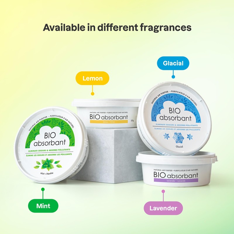 ATTITUDE Bio Absorbant Air Purifier with Activated Carbon, Plant- and