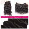 Lemoda Human Hair Bundle 100% Unprocessed Body Wave 20 Inch