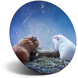 Destination Vinyl ltd Magnet for Refrigerator, Fridge - Cute Guinea Pig Funny Love for Office, Cabinet and Whiteboard, Magnetic Stickers, 2036