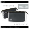 Sun-Star Stationery Pen Case Clear Pouch Mitte Gusset Light Black