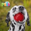 Fancy Pets Juguete Para Perro Extreme Bola Resistente Med Fancy