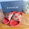 Coach NWB Coach Udele Sport Slide With Heart Print c8997