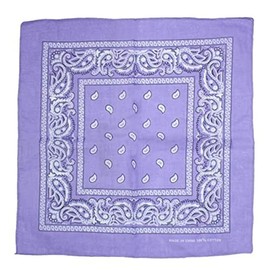 Topkids Accessories Paisley Bandanas Hair Bands Headbands Women Men Dogs Head Bands Festival Bike Accessories Face Masks Holiday Essentials Head Scarf (Lilac)