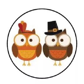 Unbranded 48 Thanksgiving Owls!!!  ENVELOPE SEALS LABELS STICKERS 1.2" ROUND