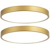MonDaufie Gold Flush Mount Ceiling Light 2 Pack,9 inch Modern