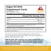 Ascent Nutrition Algae Oil DHA Omega-3's | Vegan and Vegetarian