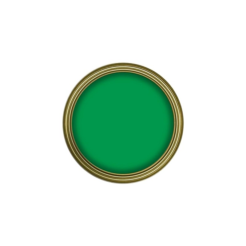 Rustins Small Job Buckingham Green Gloss Paint 250ml