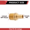 100 PCS EFIELD Pex 1/2 Inch x 1/2 Inch NPT