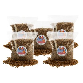 Chubby Dried Mealworms Grown in EU 10Lb Non-GMO Mealworms for Chicken & Birds