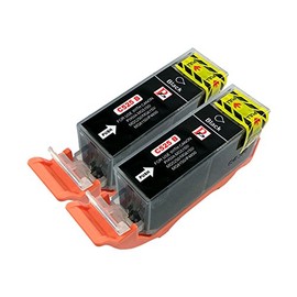 PerfectPrint Compatible Ink Cartridge Replacement for Canon PIXMA iP-4800 4850 4900 4950 MG-5150 5250 5350 6100 6150 6220 6250 8150 PGI525 (Black, 2-pack)