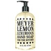 Greenwich Bay Trading Company Kitchen Collection Bundle: Meyer Lemon -