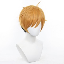 Akixen Miyatsumu Miyatsumu Wig, Cosplay, Anime Hair Net, Fashion Gift, Events, Halloween, Christmas, Heat Resistant, Disguise, School Festival, Cultural Festival, Festival