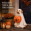 Halloween Ghost Dog Pumpkin Resin Figurine Hand-Painted Outdoor Indoor Holiday