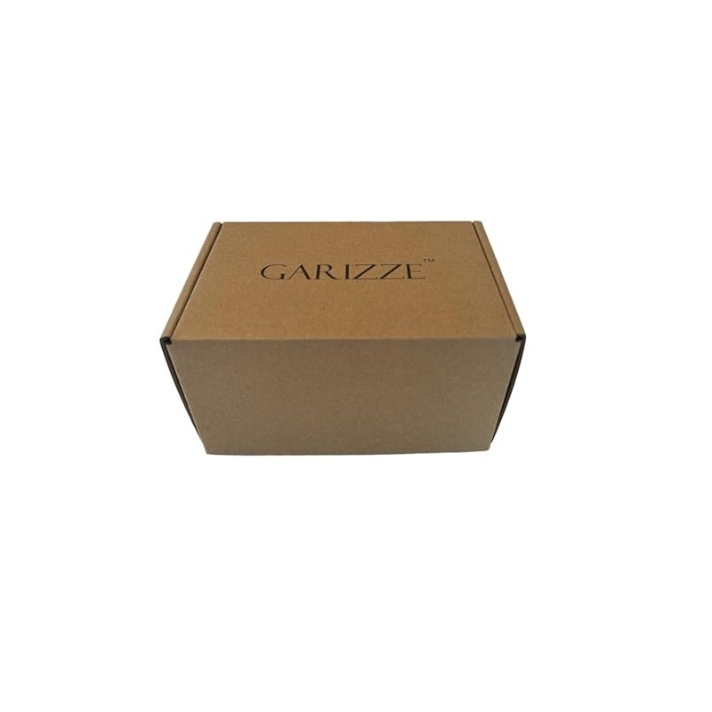 GARIZZE Propel Powder Packets, Lemon with Electrolytes, Vitamins and No