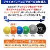 KaRaDaStyle Plyoball, Baseball, Ball Speed Boost, Training Ball, Pitcher, Poor