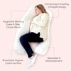 Newton Baby New and Improved Premium Pregnancy Maternity Pillow with