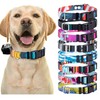 ECollar Replacement Strap - Compatible with Major Brands Including Petsafe,