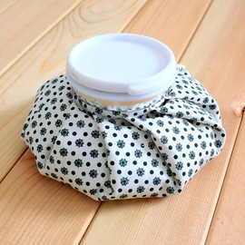 Hot and cold water poultice bag (small) hot and cold bag 2ea