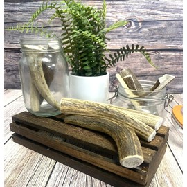 Antler Dog Chews Extra Large x 1 (Weight - 225-350g), (Size May Vary) Premium Quality Natural Dog Chew Treat Hypo-Allergenic Dog Chew SHC