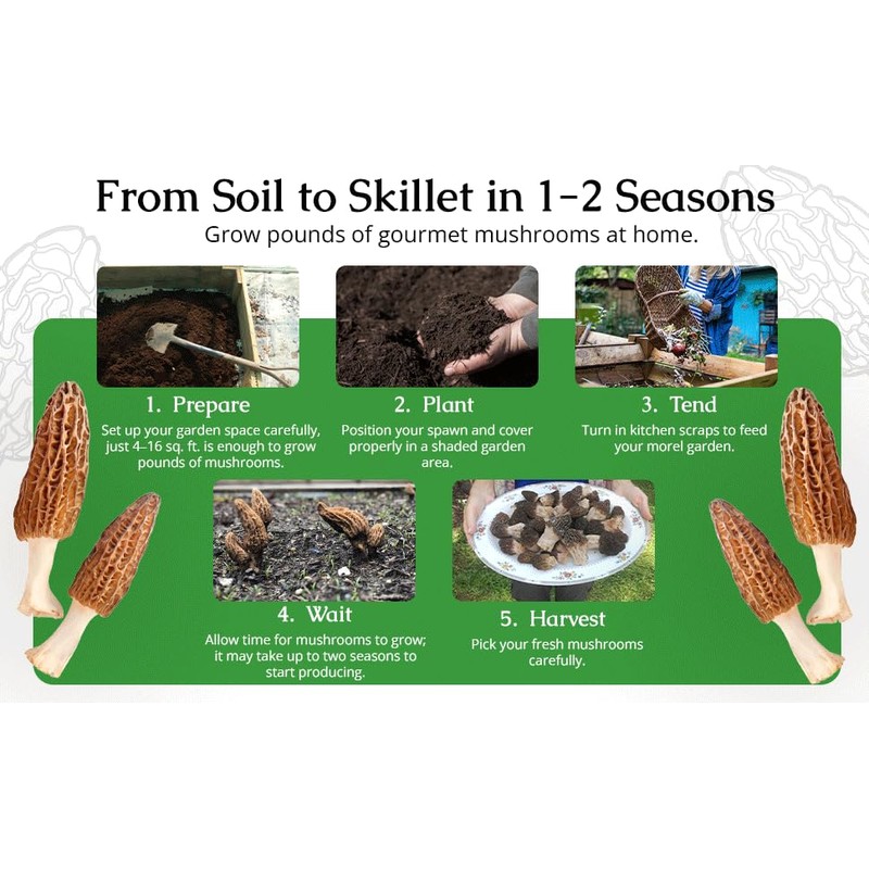 Garden Morel Mushroom Grow Kit - MOREL HABITAT KIT ®