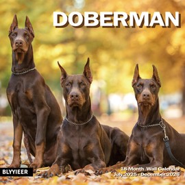 2025-2026 Wall Calendar,Doberman Wall Calendar, 12" x 24" Open,Family Planner Calendar Organizer with Doberman Images, for Dogs Lovers