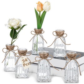 Ninehaoou 24 Pcs Glass Bud Vases 5.2in Clear Vases in Bulk Mini Flower Vase for Centerpieces Vintage Floral Arrangements Wedding Birthday Party Table Decor(Wide Stripes)