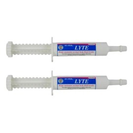 2 Pack Super Lyte Dmg Aminoácidos Caballos Carreras 30 Ml