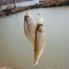 KENANLAN Fishing Survival Set, 5 * 5 * 5 Survival