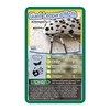 Bugs Top Trumps Card Game