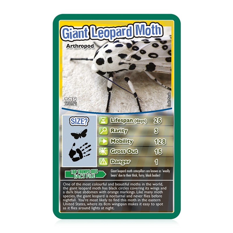 Bugs Top Trumps Card Game