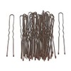 Arranview Jewellery - Pack of 36 Long Hair Pins Bun