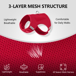 Sunraymascota Dog Harness for Puppy – Adjustable Reflective Easy Put On Soft Mesh Vest for Small Dogs with 2 Patches (Burgundy Red,XXS)