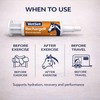 VetSet RechargeR Horse Electrolyte Paste 2 x 30ml Syringes