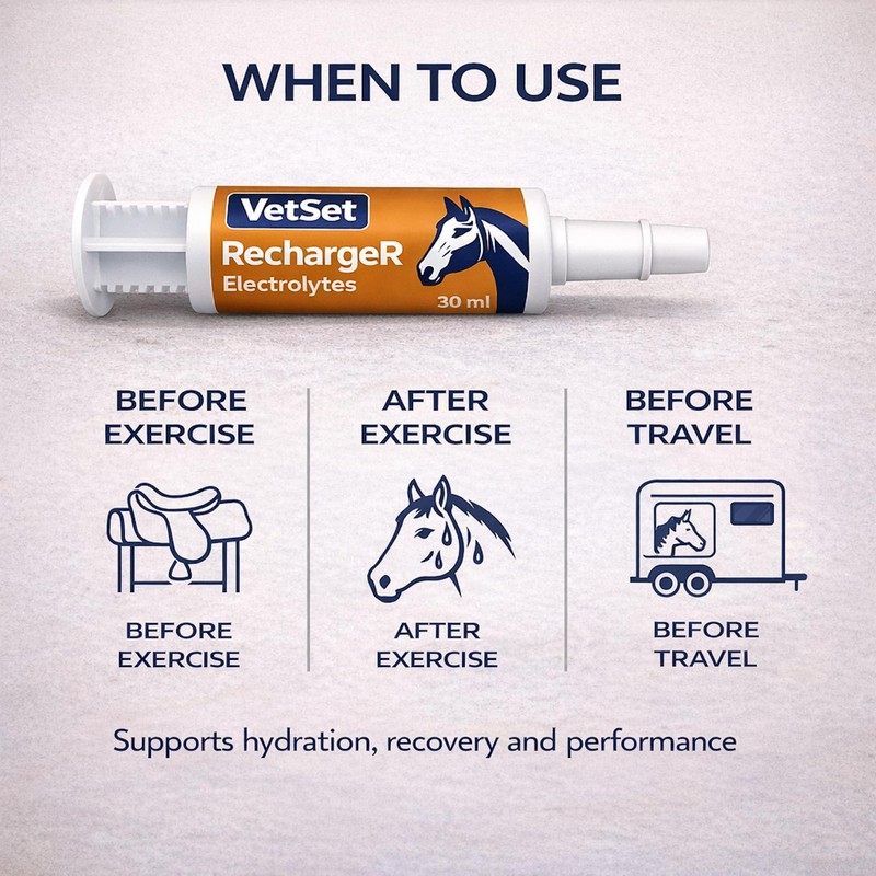 VetSet RechargeR Horse Electrolyte Paste 2 x 30ml Syringes