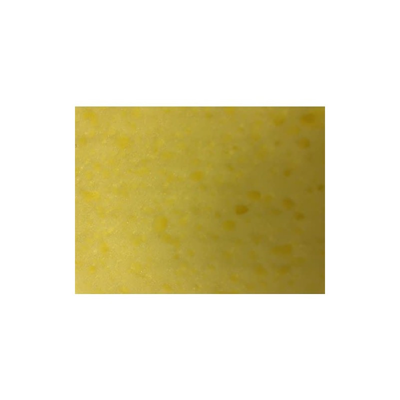 TRUSCO (Trusco) Absorption Sponge 2.0 x 10.0 x 13.0 inches