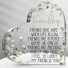 Gift for Friend Friendship Gifts for Women Friend Friendship Birthday Gifts for Women Cheer up Gift Acrylic Heart Keepsake and Paperweight for Home Office Table Shelf (Eucalyptus)