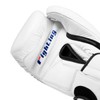 Fighting Sports Fury Professional Training Gloves, White, 16 oz