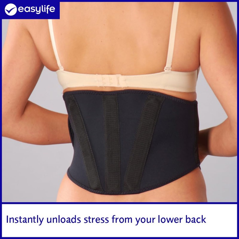 easylife lifestyle solutions Titanium Back Support | Good Posture and
