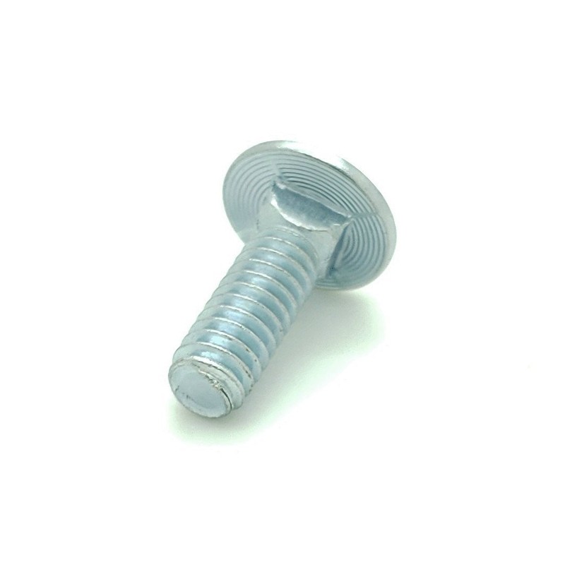 Ten (10) 1/4-20 x 3/4" Long Carriage Bolts Set w/Nuts