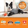 ThunderShirt for Dogs, Small, Heather Gray Classic - Dog Anxiety