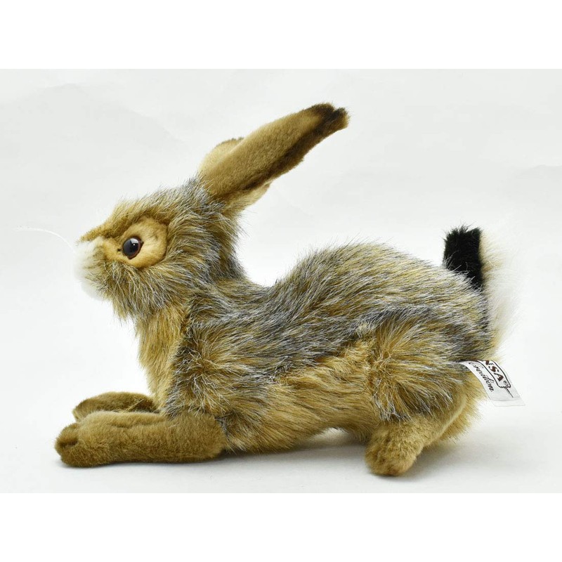 ogurousagi 25 No. 6284