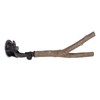 Wooden Perch, Easy Installation Interactive Beak Grinding Bird Branch Perch