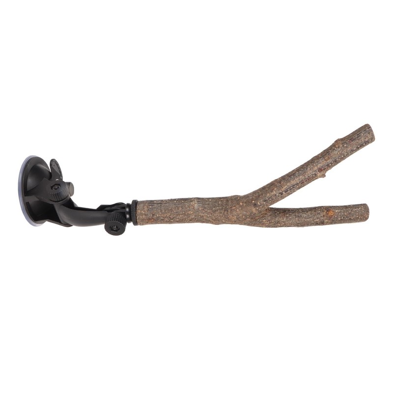 Wooden Perch, Easy Installation Interactive Beak Grinding Bird Branch Perch