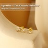 Zodiac Constellation Flat Back Stud Earrings – 14K Gold Plated