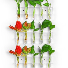 GOFOWRK Wall Plant Propagation Stations, Split-Type Acrylic Propagated Plant Holders with 15 Pcs Glass Propagation Tube Vases, Clear Propagation Vases for Hydroponic Plants, Cutting Flower (3 Pack)