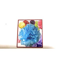 Madisons Wrapping Kit. 5 ea. Paper Tissue White (8") & Red Bows (12"), 1 30 ft Garland, 25 Red Feather Wraps